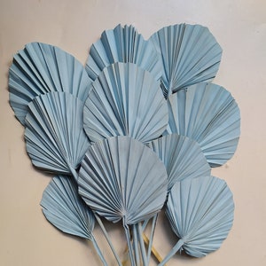 10 x Dried Round Baby Blue Palm Spear  - Exotic Decoration - Fall Decoration - Wreaths - Weddings