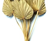 25 x Dried Palm Spear Natural - Exotic Decoration - Fall Decoration - Wreaths - Weddings