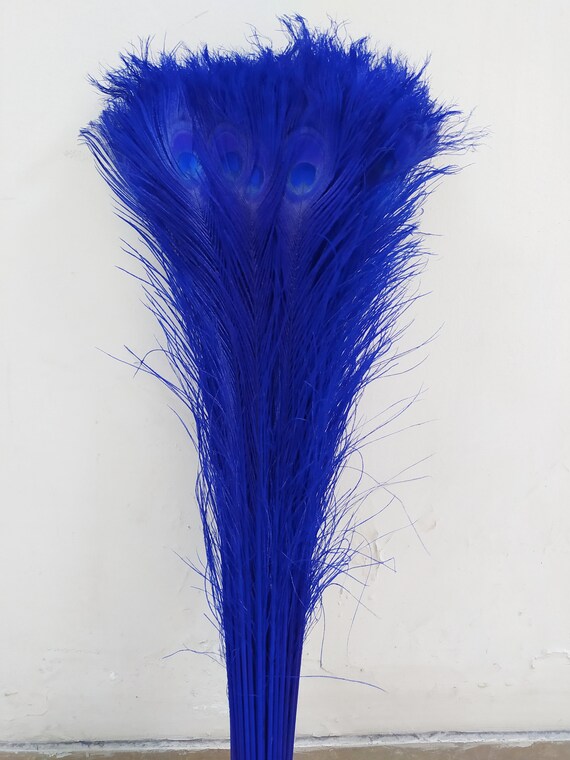 10x PEACOCK TAIL FEATHERS NATURAL 10 INCHES LONG FOR BOUQET MILLINERY CRAFT