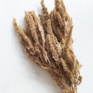 Dried Natural Amaranthus Bunch - Wedding Decoration - Rustic Bouquets - Wreaths