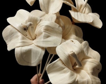 5 x Sola Jaba (Lily) Stemmed - Wedding Flowers - Bridal Bouquets - Floral Arrangement