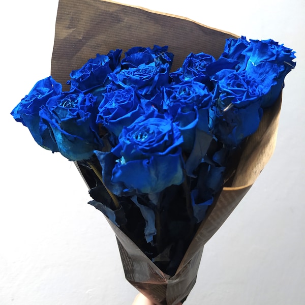 STUNNING COLOR! Dried Ecuadorian Blue Roses COLORED - Air Dried Proffessionally - Dried Flowers - Florist Supply