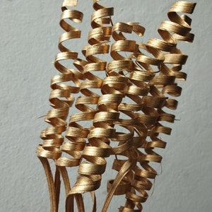 Dried Festive Gold Caine Spring Stems - Home Decoration - Rustic Bouquets - Wreaths