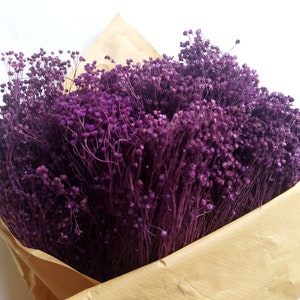 Ramo de escobas de flores moradas secas coloreadas - Decoración del hogar - Ramos rústicos - Coronas