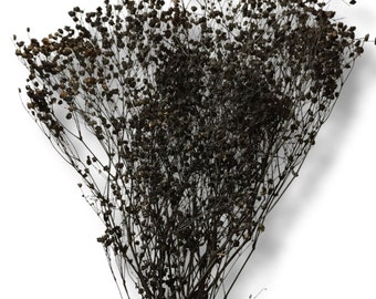 Preserved Black Baby's Breath Bunch Coloured - Bouquets - Wedding Decoration - Rustic Bouquets - Wreaths - 80-100g