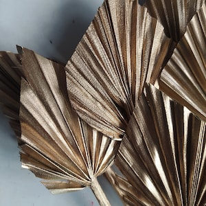 NOVO! 10 x Lança de Palma Dourada Seca MINI - Decoração Exótica - Decoração de Outono - Grinaldas - Casamentos