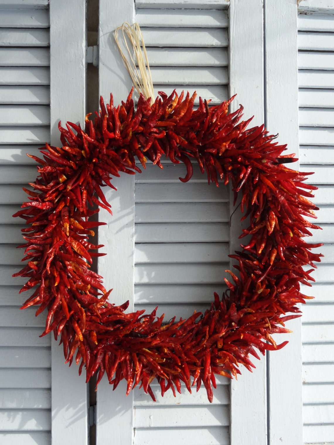 16 Red Hot Chili Pepper Wreath Dried Chili Pepper | Etsy