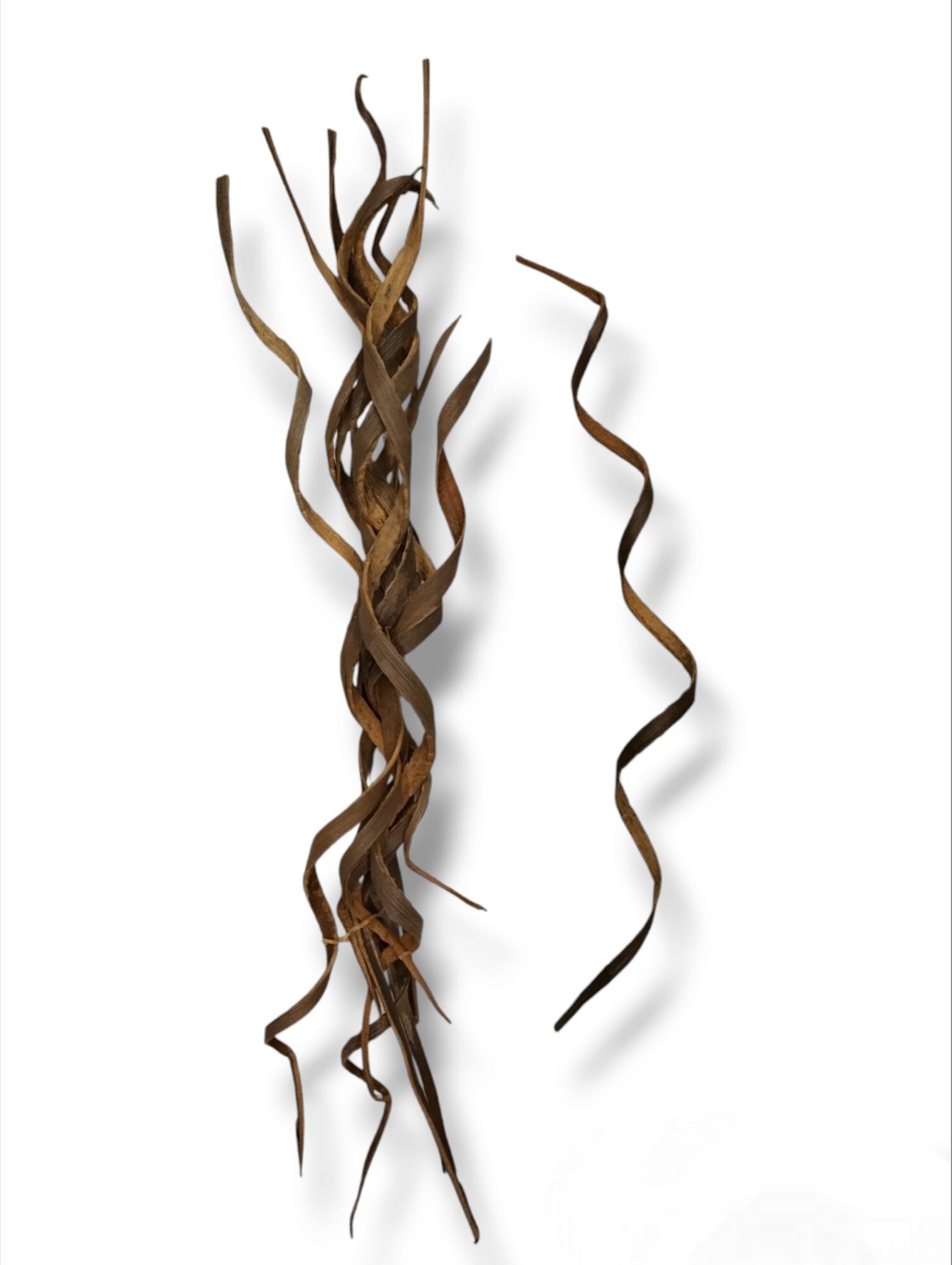 Dried Coco Curly Stems - Natural Rustic Vase Filler, Boho Filler, Boho Home & Wedding Decor