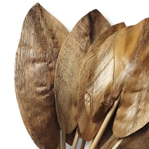Może przedstawiać: Pęk suszonych liści palmowych związanych drewnianymi patyczkami. Liście są jasnobrązowe i mają naturalny, rustykalny wygląd.