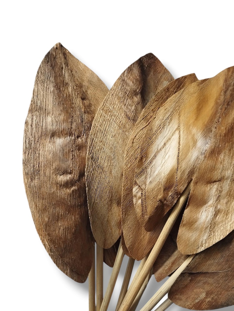 Może przedstawiać: Pęk suszonych liści palmowych związanych drewnianymi patyczkami. Liście są jasnobrązowe i mają naturalny, rustykalny wygląd.