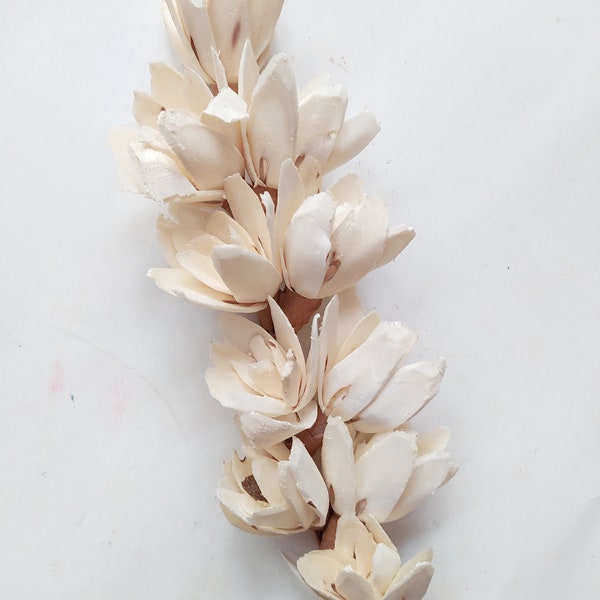 WHOLESALE Sola Palach On Wire Stem - Wedding Flowers - Bridal Bouquets - Floral Arrangement