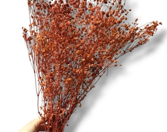 Preserved Terracotta Baby's Breath Bunch Coloured - Bouquets - Wedding Decoration - Rustic Bouquets - Wreaths - 80-100g