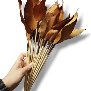 Natural Stemmed Magnolia Leaves (20): Floral Arrangement Craft Supply