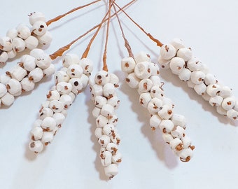 WHOLESALE Sola Berries On Wire Stem - Wedding Flowers - Bridal Bouquets - Floral Arrangement