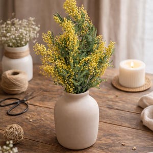 Gedroogd mimosaboeket | Natuurlijke gele bloemstelen | Bohovaasdecor (2-3 stelen)
