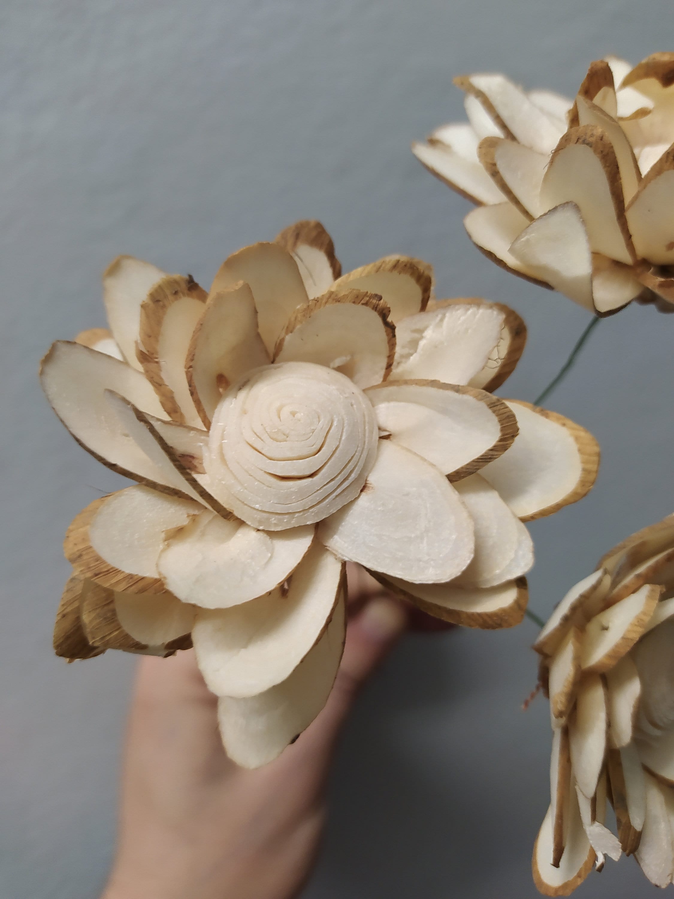 w.o.d.　F.L.O.W.E.R.S. Sola Wood Flower on Wire Stem: Bridal Bouquet Supplies (6cm