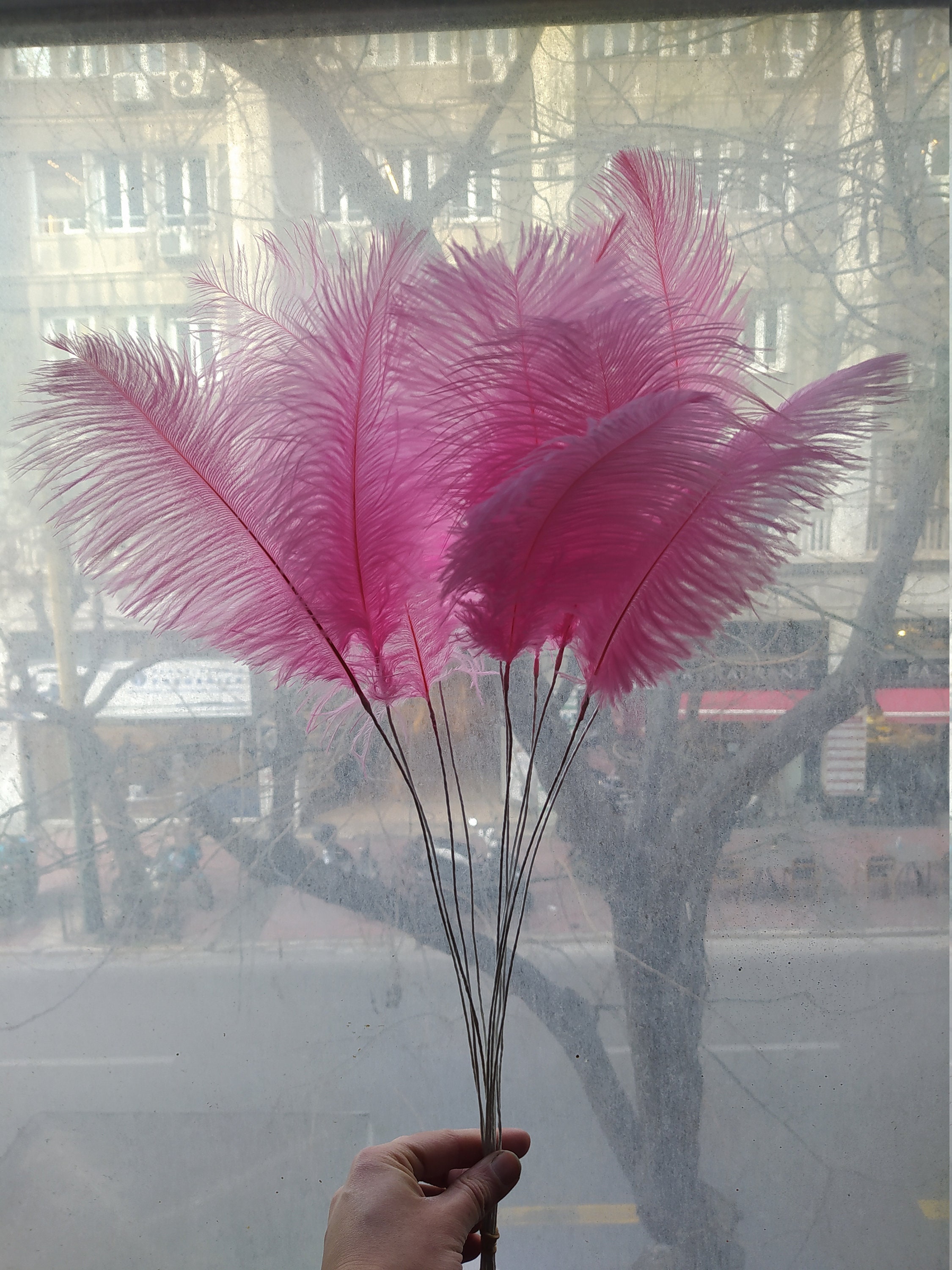 Black and Hot Pink Ostrich Feather Centerpiece With Eiffel Tower