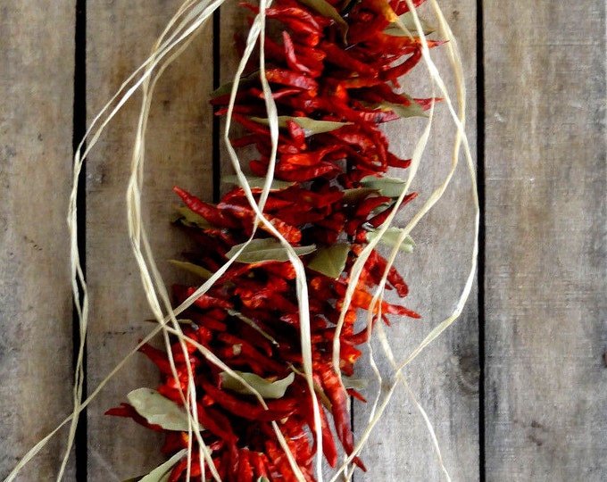 Chilli Peppers Garland Kitchen Decoration - Etsy