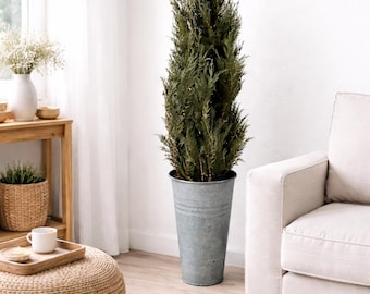 Árbol topiario de tuya preservada de 60 pulgadas: decoración de madera perfumada