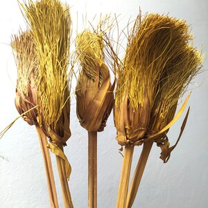 Dried Yellow Papyrus Brush Bunch - Wedding Decoration - Rustic Bouquets - Wreaths - Fall Decoration