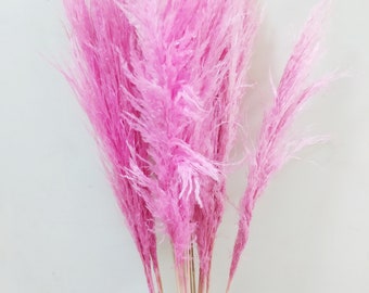 5 x Dried Pampas Grass Pink - Florist Supplies - Floral Material - Wedding  Flower