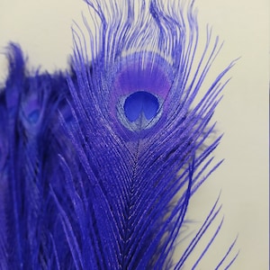 10 x Beautiful Blue Purple Peacock Tail Feathers  - Exotic Decoration - Wreaths - Weddings -  About 28-32 Inches