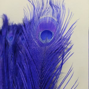 10 Blue Purple Peacock Tail Feathers: Exotic Wedding Wreath Decoration (28-32 Inches)