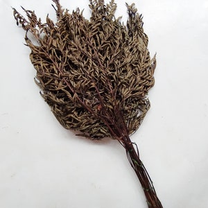 Dried Leather Leaves Bunch - Wedding Decoration - Rustic Bouquets - Wreaths - Floral Arrangement