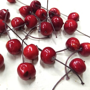 Può includere: Un insieme di ciliegie artificiali lucide, di colore rosso intenso. Ogni ciliegia ha un gambo scuro ed è disposta su una superficie bianca. Ideali per la decorazione.