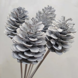 6 White Stemmed Pine Cones: Natural Rustic Decor Arrangement