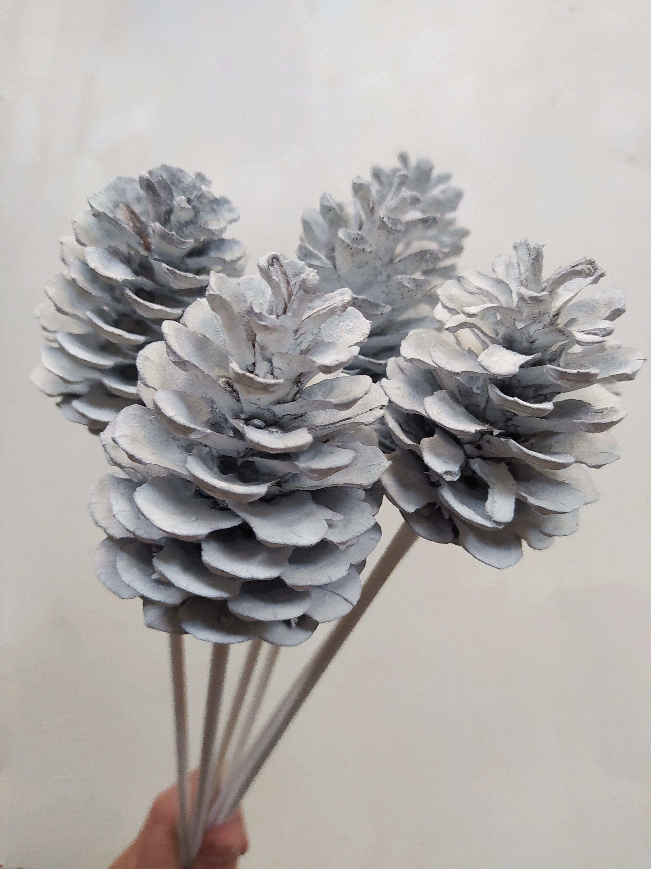 6 White Stemmed Pine Cones: Natural Rustic Decor Arrangement