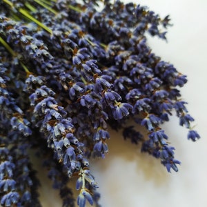 Può includere: Un mazzo di fiori di lavanda secchi con fiori viola e steli verdi.
