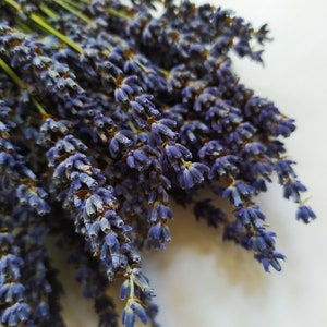 Dried French Lavender Natural Dark Blue - Bunch - Wedding Decoration - Rustic Bouquets - Wreaths