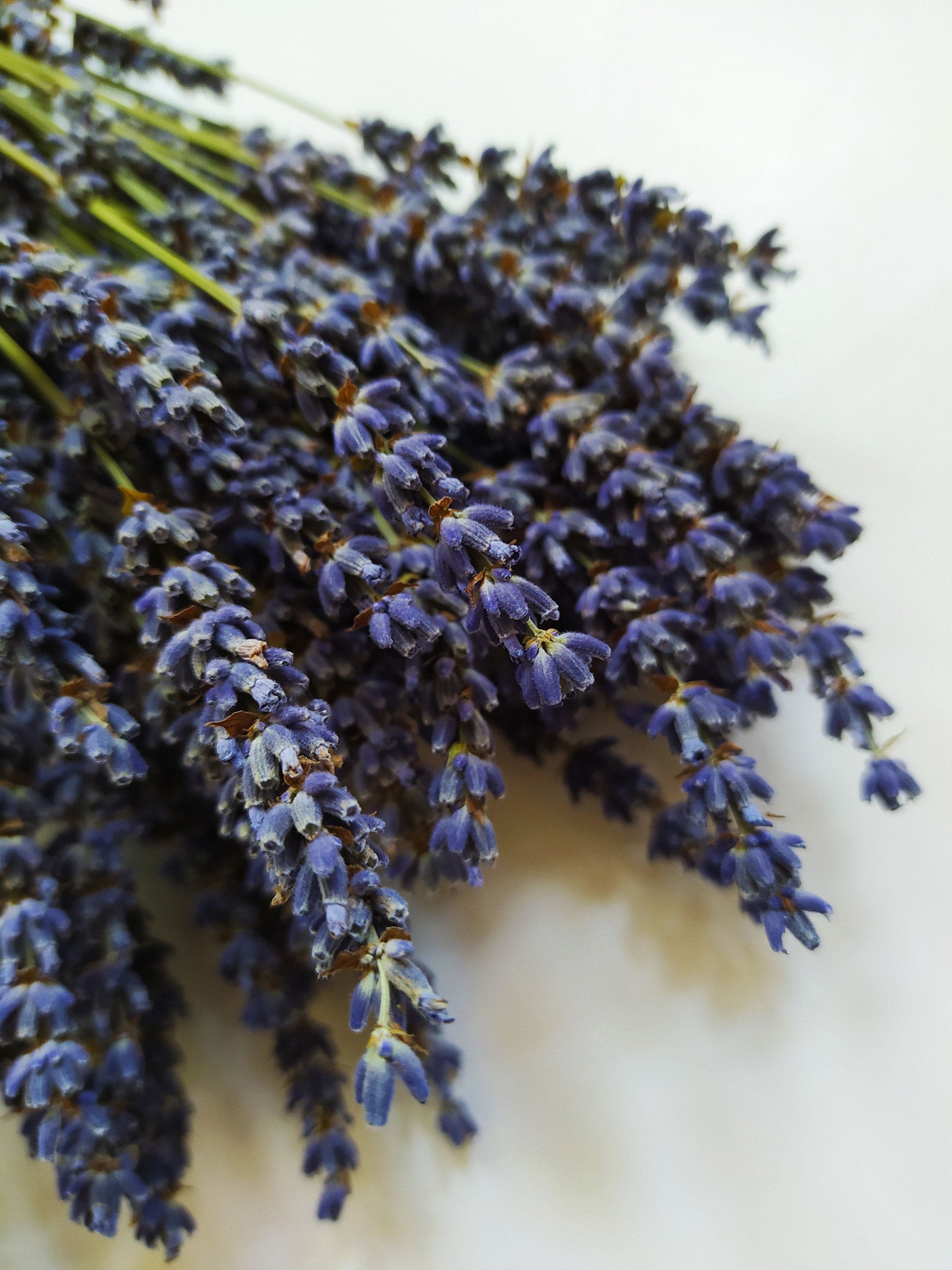 Getrocknete Franzosische Lavendel Naturliche Dunkelblau Bund Etsy