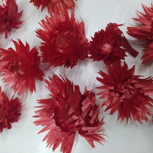 100g Dried Capblumen Heads Red Colored - Wedding Flowers - Bridal Bouquets - Floral Arrangement