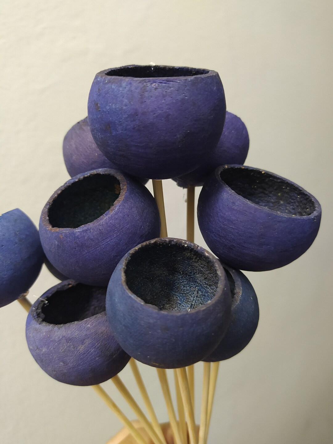 Dried Blue Bell Cups Stemmed Dried Flowers Florist Supply 10 Stems per