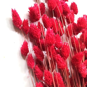 Dried Red Phalaris Bunch - Wedding Decoration - Rustic Bouquets - Wreaths - 120g