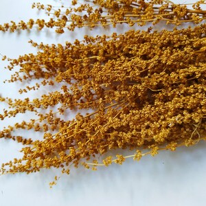 Dried Bleached Palak Stick Grass Bunch - Wedding Decoration - Rustic Bouquets - Wreaths