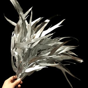 Silver Preserved Eucalyptus Nicholii Bunch: Rustic Floral Arrangement