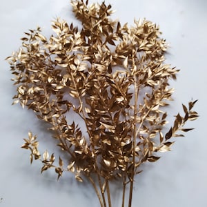 Preserved Golden Italian Ruscus Bunch: Rustic Wedding Decor