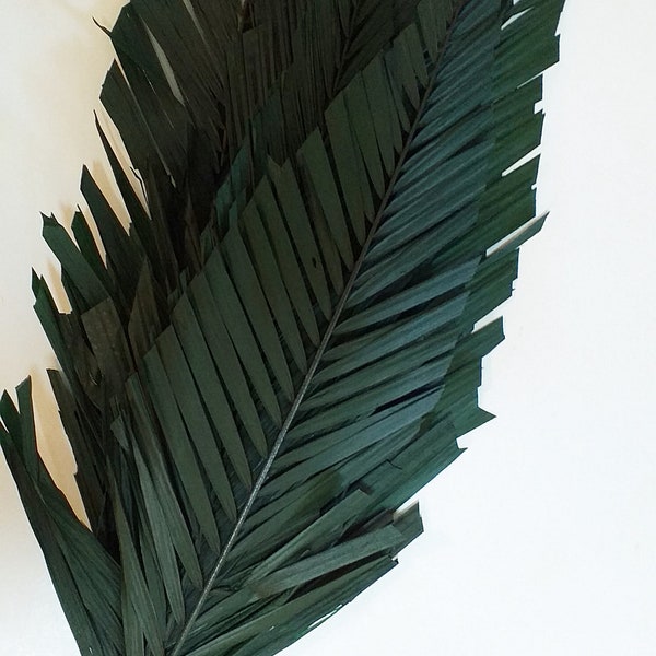 WHOLESALE 40 x Preserved Palm Pyramid Leaves Green - Beach Themed Wedding Decoration - Tropical Weddings - Floral Arrangement