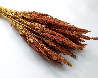 Dried Natural Fall Colour Amaranthus Bunch - Wedding Decoration - Rustic Bouquets - Wreaths