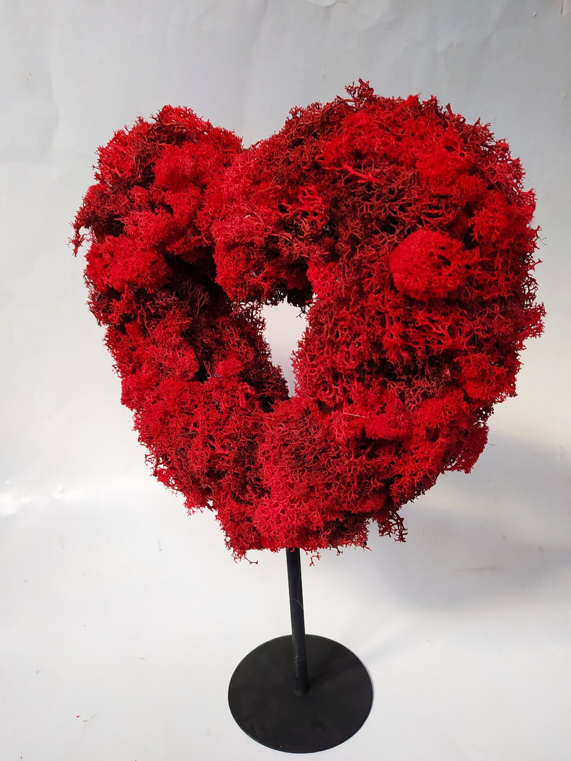 Red Reindeer Moss Heart With Metalic Base Preserved Etsy