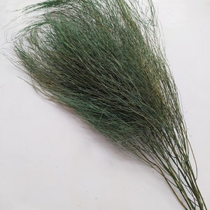 Dried Green Tiki Fern Bunch: Rustic Wedding Decor