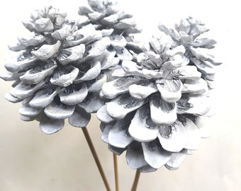 May include: Three white painted pine cones on wooden sticks. The pine cones are arranged in a bouquet.