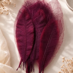 Burgundy Skeleton Leaves, Preserved Veins, Natural Craft Supplies (20-40cm)