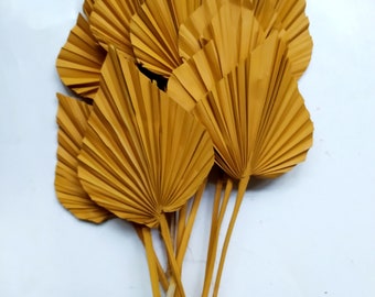 NOUVEAU! 10 x lance de palmier jaune Toscane séchée - Décoration exotique - Décoration d’automne - Couronnes - Mariages