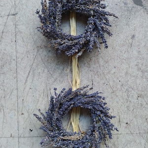 Mini gedroogde Franse lavendelkransen - keukenkruiddecor