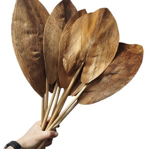 10 x Dried Coco Leaves - Natural Beige - Tropical Rustic Decor - Floral and Wreath Supplies