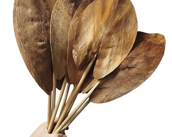 10 x Dried Coco Leaves - Natural Beige - Tropical Rustic Decor - Floral and Wreath Supplies